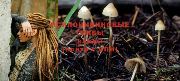 марихуана Белокуриха